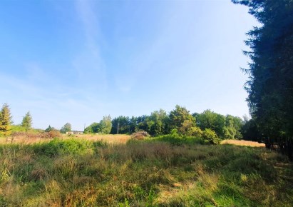 działka na sprzedaż - Jastrzębie-Zdrój, Ruptawa